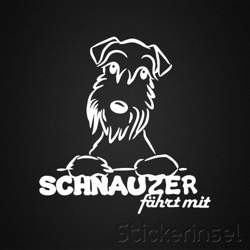 Stickerinsel Schnauzer fährt mit